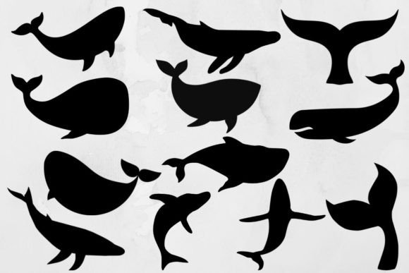 Download Whale Svg Bundle - Whale Collection