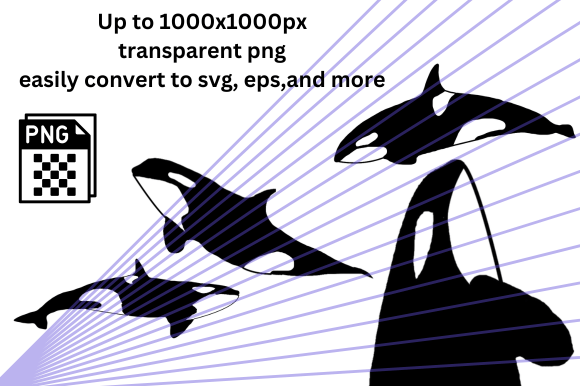 Download Killer Whale Orca Silhouette PNGs - Whale Collection