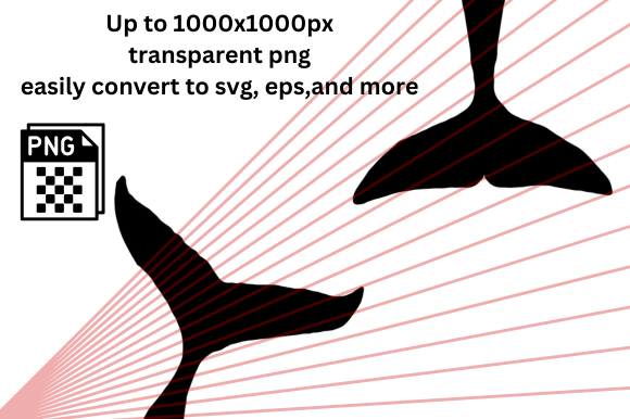 Download Whale Tail PNGs - Whale Collection