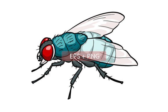 Download Flies Insect Animal Illustration - Animal illustration Collection