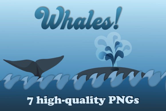 Download Whale PNGs - Whale Collection