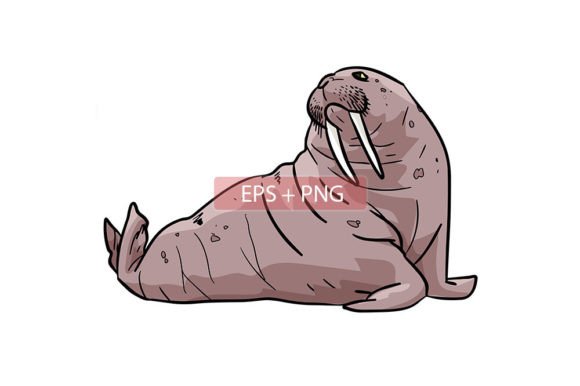 Download Walrus Mammals Animal Illustration - Walrus Collection